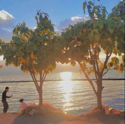 【励志】励志语录活出自己的模样就行了（最精辟做好自己的励志句子）