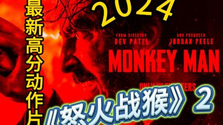 [文]动作电影《怒火战猴》解说文案