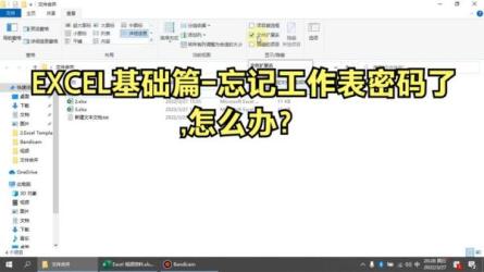 Excel从入门到忘记-课程-网盘资源分享