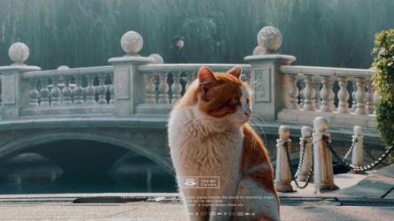 【B站付费课程】大神教你玩转手机摄影，随手拍出好照片（完结）-课程-网盘资源分享