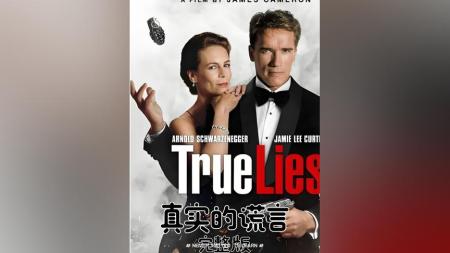 [文]动作惊悚片《真实的谎言》电影解说文案