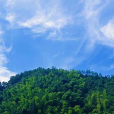 【伤感】浪漫爱情伤感句子短句（爱情美好伤感的句子）