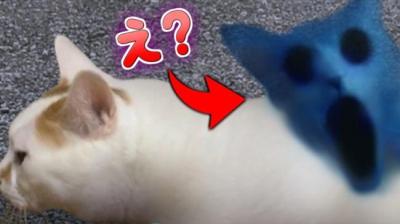 鬼猫 上[附音频]