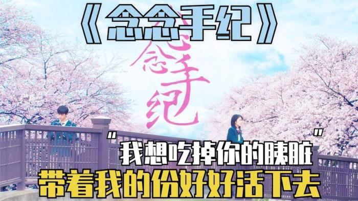 [独家原创]剧情电影《念念手纪》解说文案-[原创首发]-吾爱文案网