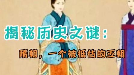 【B站付费课程】被低估的王朝：隋朝改革的成与败（完结）-课程-网盘资源分享