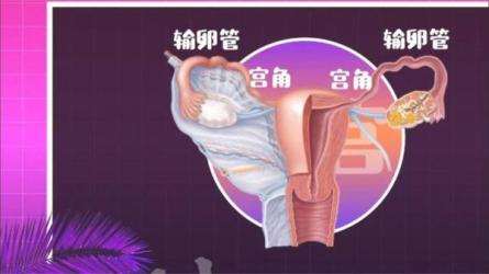 【B站付费课程】六层楼先生：女性健康通识课（完结）-课程-网盘资源分享