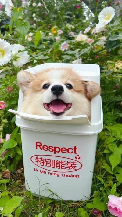 【唯美】青春疼痛唯美的句子53句（青春疼痛的句子）