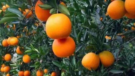 b站薅羊毛，0门槛提现，单号每月300+，可矩阵操作-课程-网盘资源分享