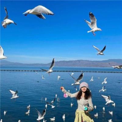 【励志】励志语该怎么写（100句经典励志语）