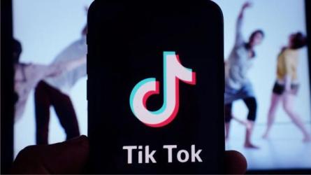 Tiktok无人值播，不出镜不剪辑不拍摄不发货-课程-网盘资源分享
