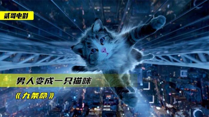 喜剧科幻片《九条命》解说文案--[原创首发]-吾爱文案网