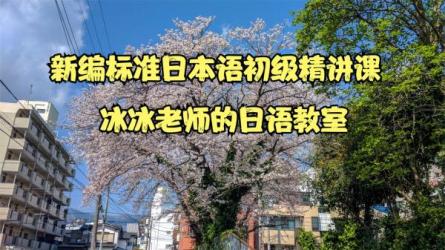 「B站-唐盾：0-N4日语精讲」「B站-唐盾：N3-N2日语精讲」-课程-网盘资源分享