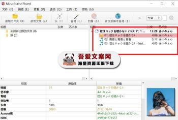 MusicBrainz Picard 音频标签处理（音频指纹搜索工具）V2.12.3 PC版-