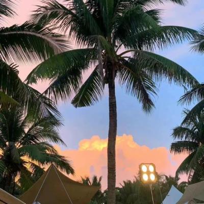 【伤感】来点伤感句子（来一句特别伤感的句子）