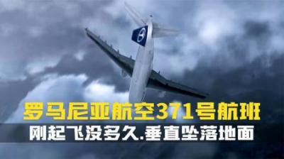 [视]空客310刚起飞没多久,垂直坠落地面,实在太罕见了.空难纪录片