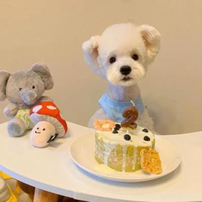 【经典】暑假老师发通知家访文案（去家访的通知文案）