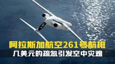 [视]一个简单的疏忽，几美元的润滑油脂，竟能引发一场空中灾难？