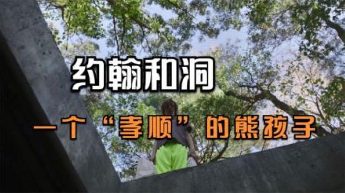 剧情《约翰和洞》电影解说文案-[原创首发]-吾爱文案网
