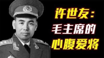 [视]65年陈再道不打招呼跳进中南海泳池，许世友惊呆，毛主席生气吗