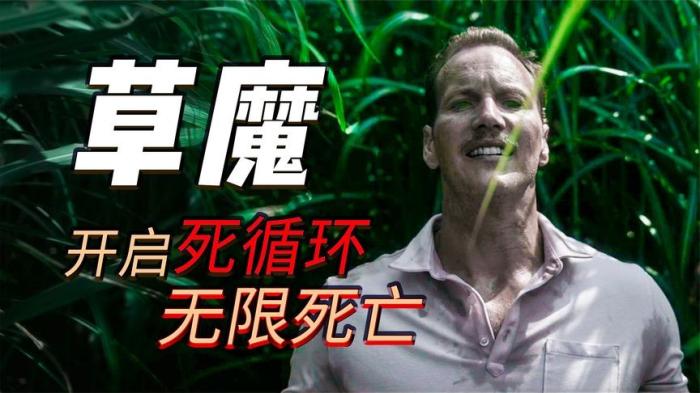 烧脑悬疑电影《高草丛中》--[原创首发]-吾爱文案网