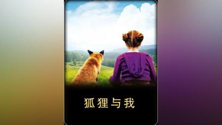 [文]冒险《狐狸与我》电影解说文案