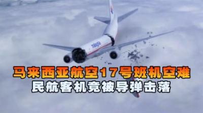 [视]民航客机遭导弹击落,298人遇难,至今事实难辨,空中浩劫纪录片