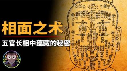 「NFT元宇宙」「陈大庆-道家面相珍藏版」-课程-网盘资源分享