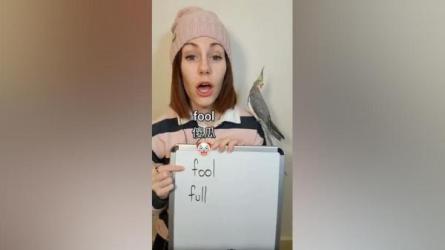 Kristin英语课堂核心VIP会员课程-课程-网盘资源分享