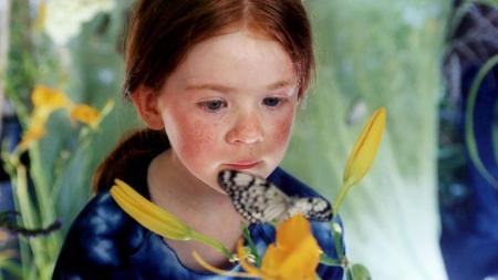 [文]喜剧儿童《蝴蝶》电影解说文案 观后感