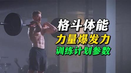 《格斗及力量训练》-课程-网盘资源分享