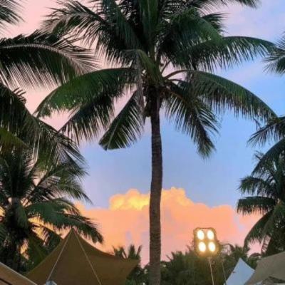 【感悟】教师节日快乐感悟（关于教师节的10点感悟）