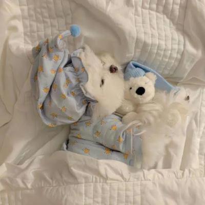 【唯美】学校小升初的祝福语（祝小升初考生的祝福语短句）