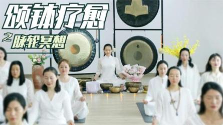 「瑜伽课程合集七大系列-课程-网盘资源分享