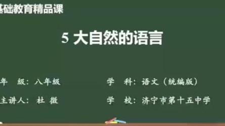 《2022实操微课制作项目》-课程-网盘资源分享