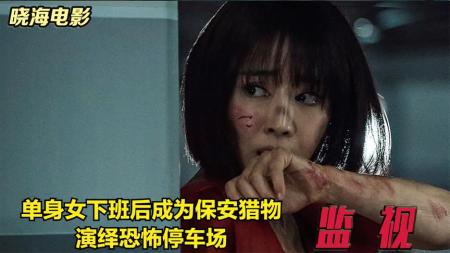 [文]惊悚《监视》电影解说文案 解说素材