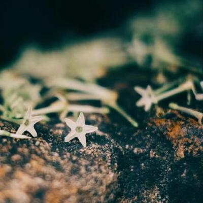 【感悟】读书笔记感悟及摘抄好词好句好（读书笔记好词好句及感悟和收获）