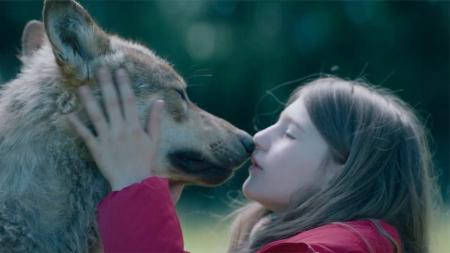 [文]剧情《薇琪的秘密》电影解说文案