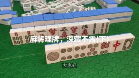 「刘坚强麻将学技术训练与技巧（完结）」-课程-网盘资源分享
