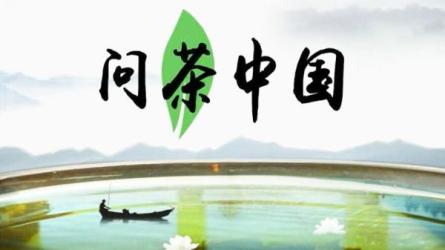 《中国茶典藏》220种标准茶品鉴爱茶懂茶人士必备茶书-课程-网盘资源分享