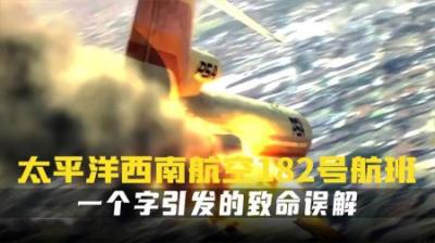 [视]圣迭戈上空的追尾事件.牵涉的机组和空管都犯了错.空难纪录片