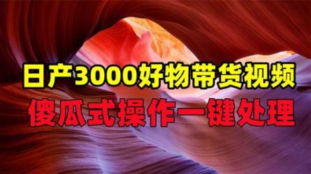 「视频号批量搬运实战操作运营赚钱教程，傻瓜式批量制...-课程-网盘资源分享