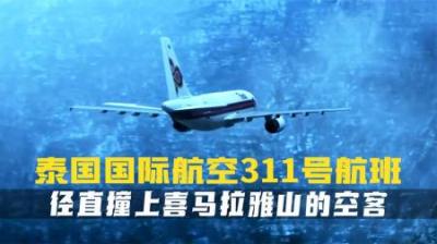 [视]泰航空客A310在降落过程中.径直撞向喜马拉雅山.113人遇难.纪录片