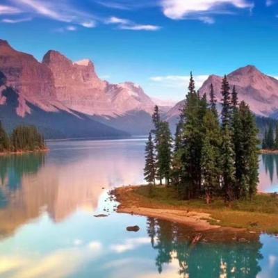 【感悟】老师的工作成长感悟怎么写（简短的老师工作经历怎么写）