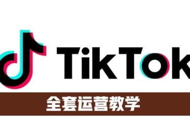 TikTok进阶实战课，账号详解，流量运营，实战变现-课程-网盘资源分享