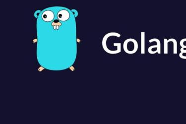 「【lagou-536】22讲通关Go语言」-课程-网盘资源分享