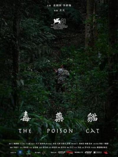 《毒药猫》男人杀妻，女人噬夫|专访毒药猫导演关天