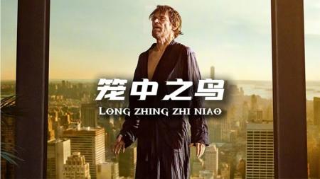 [文]剧情电影《笼中之鸟》解说文案 观后感