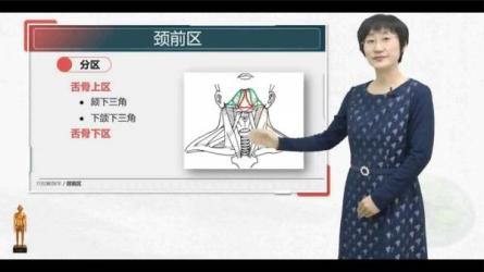 「针灸按摩类医书」「超高清人体穴位图」-课程-网盘资源分享