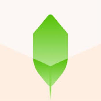 新枝Newledge - 知识管理
