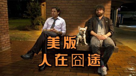 [文]喜剧片《预产期》电影解说文案